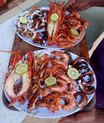 WhatsApp Image 2026-02-24 at 8.21.29 PM (1)